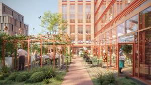 Clémence YON - UPSILON